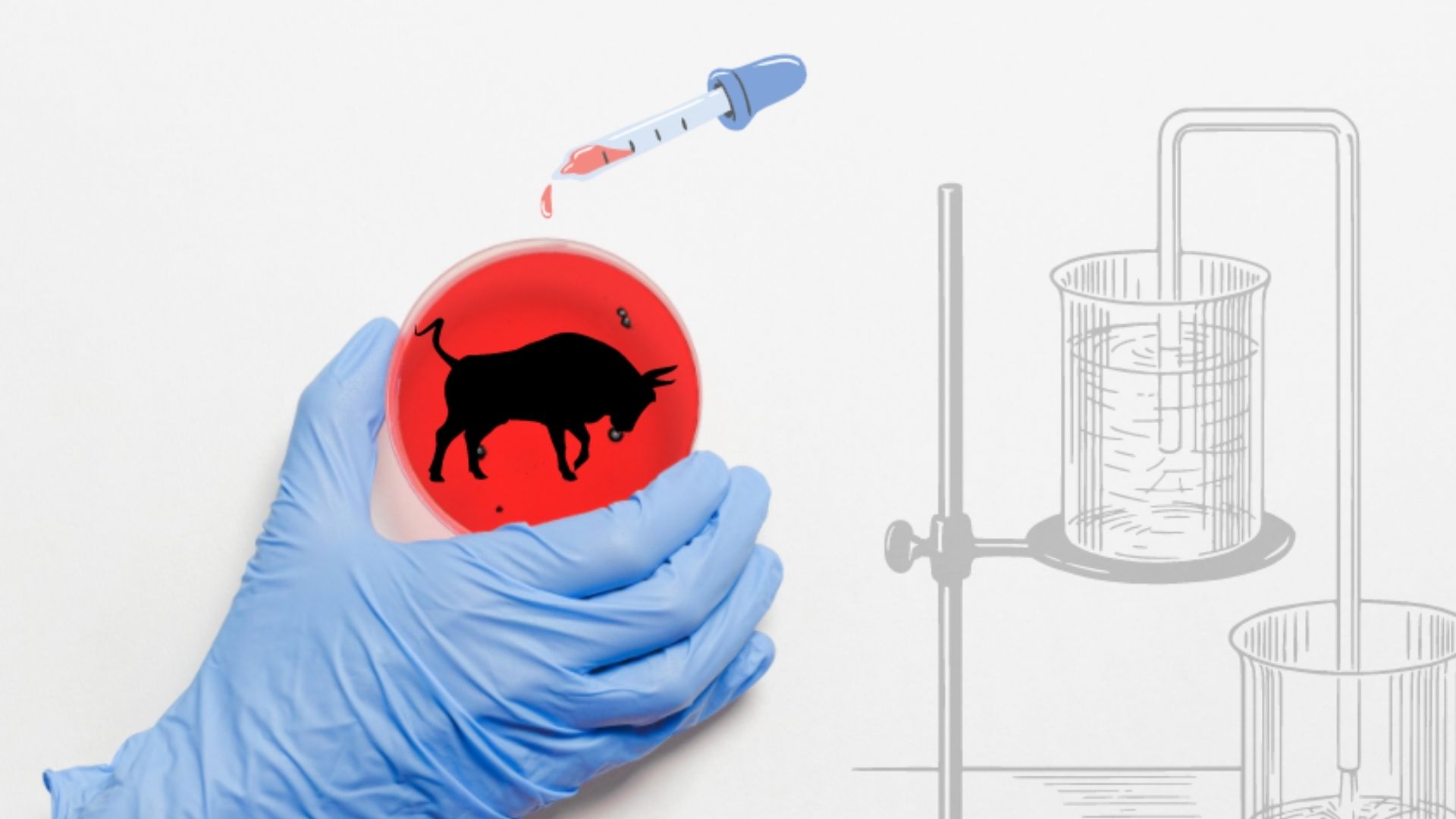 Parceria entre BRF e Aleph Farms promete carne de laboratório no Brasil até 2024