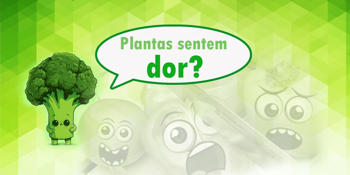 Imagem principal do editorial