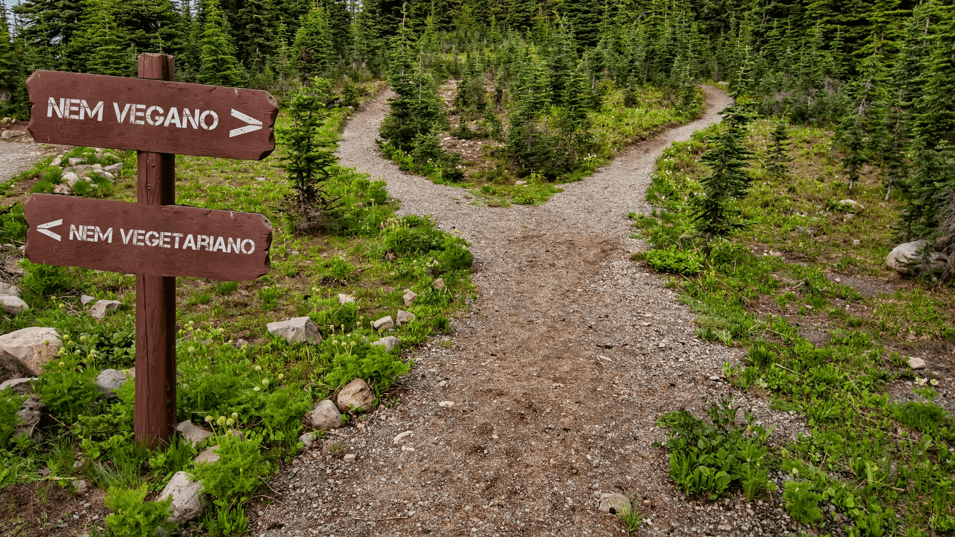 Reduzir não é a solução