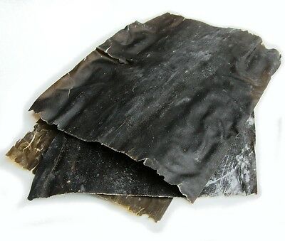 Kombu