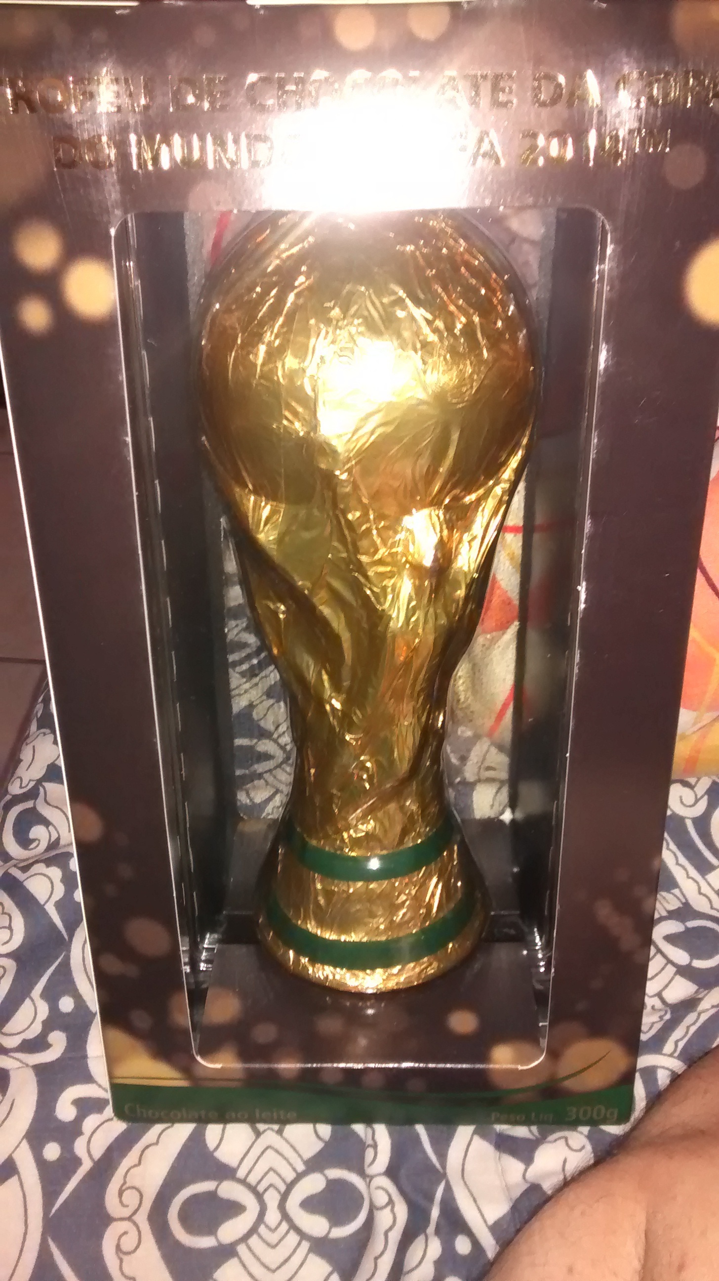 Taça copa do mundo Garoto