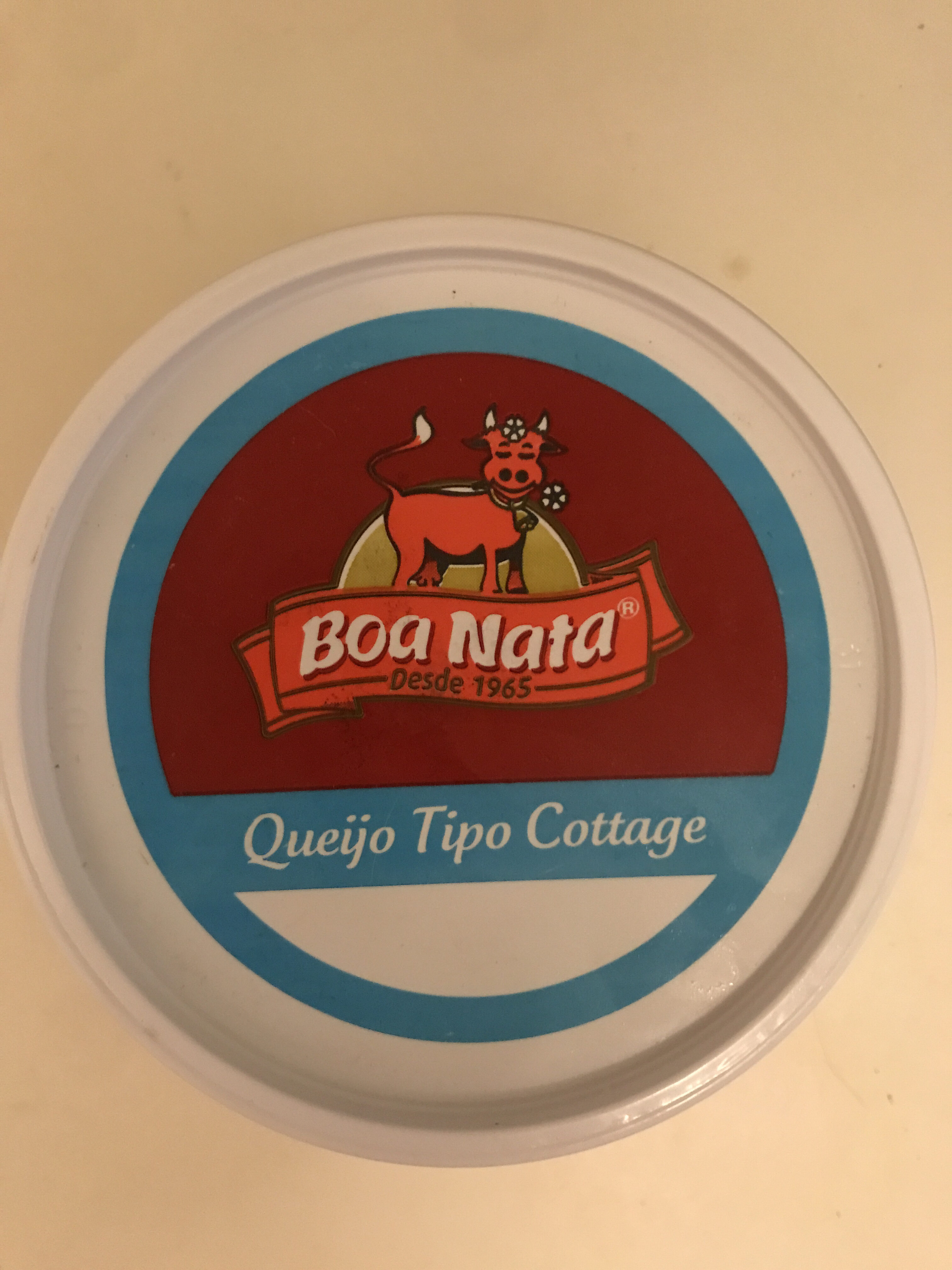 Queijo tipo cottage Boa Nata