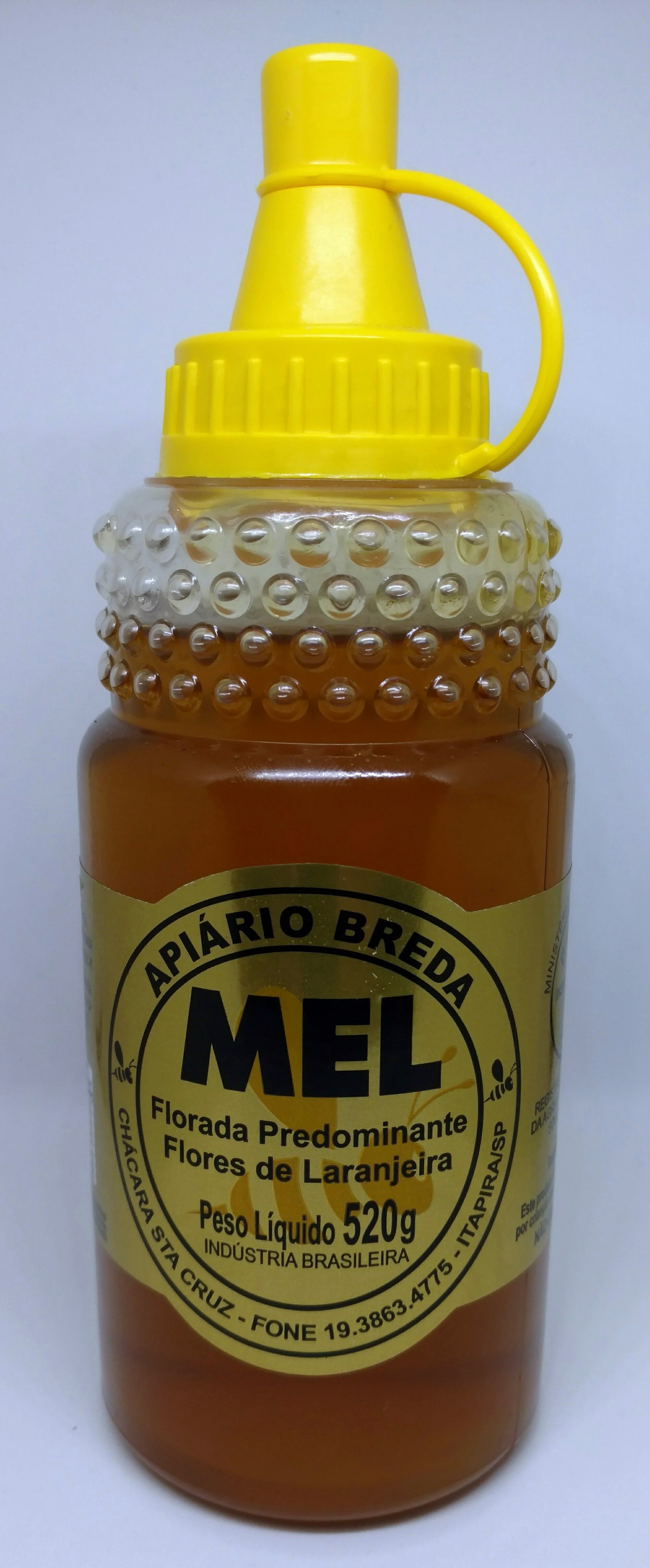 Mel Apiário Breda