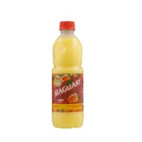 Suco Concentrado de Caju Maguary